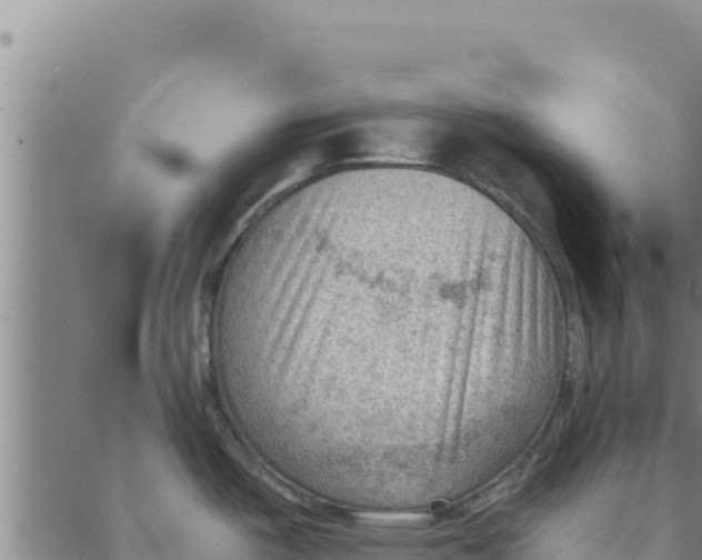 X0000088411487200706191410