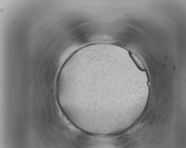 X0000088411488200706191410