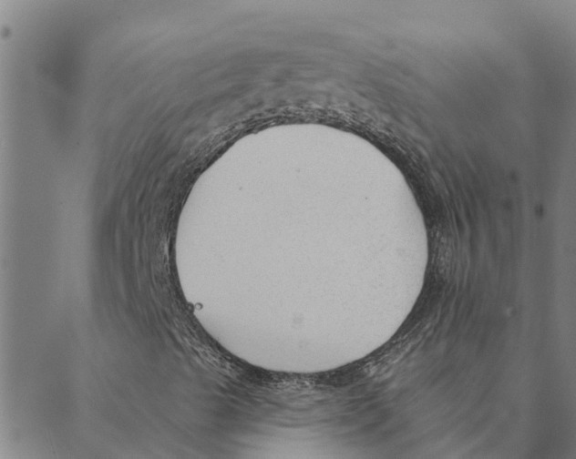 X0000088411489200706191409