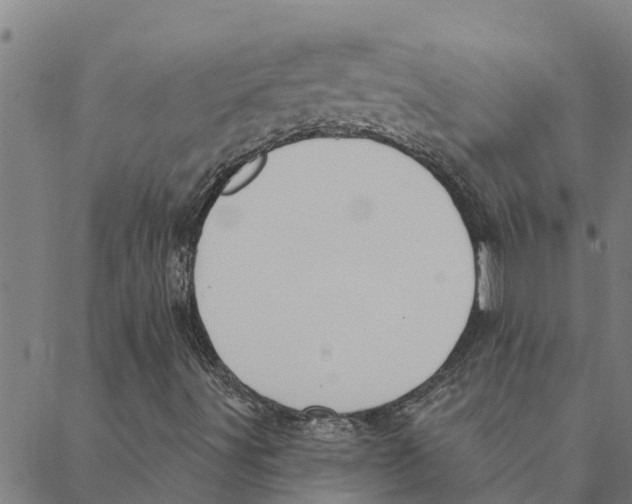 X0000088411491200706191409