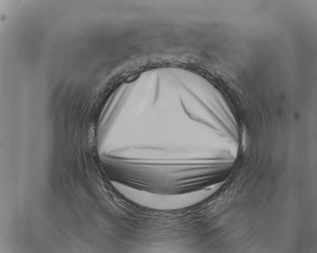 X0000088411492200706191409