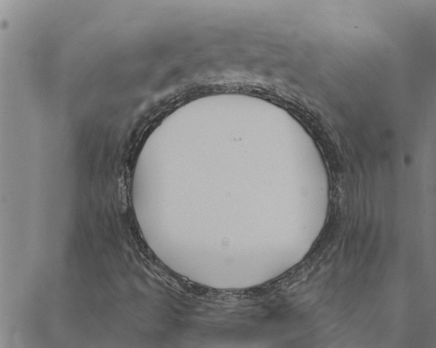 X0000088411493200706191409