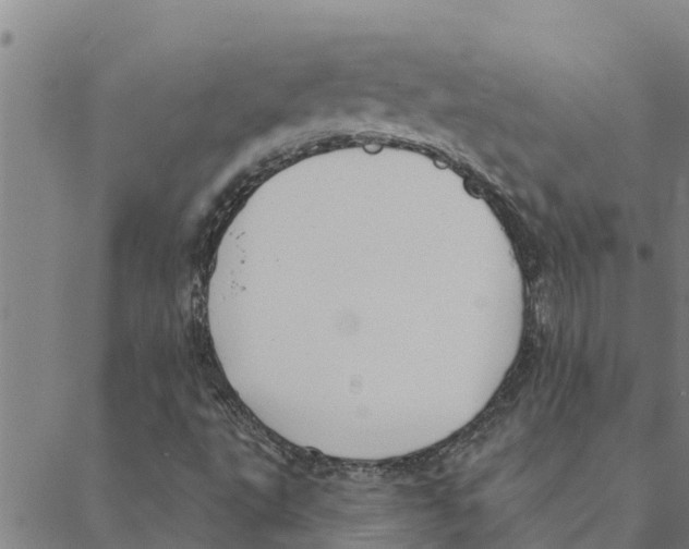 X0000088411495200706191409