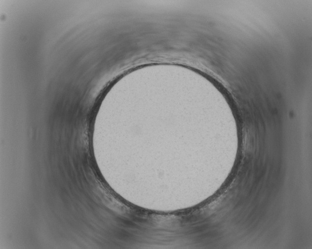 X0000088411498200706191409