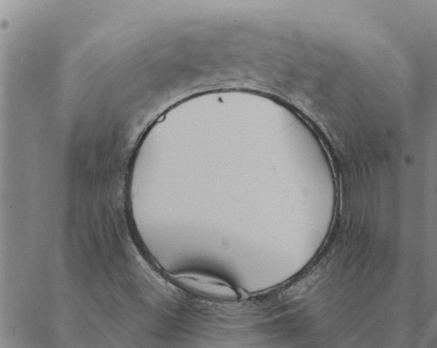 X0000088411500200706191409