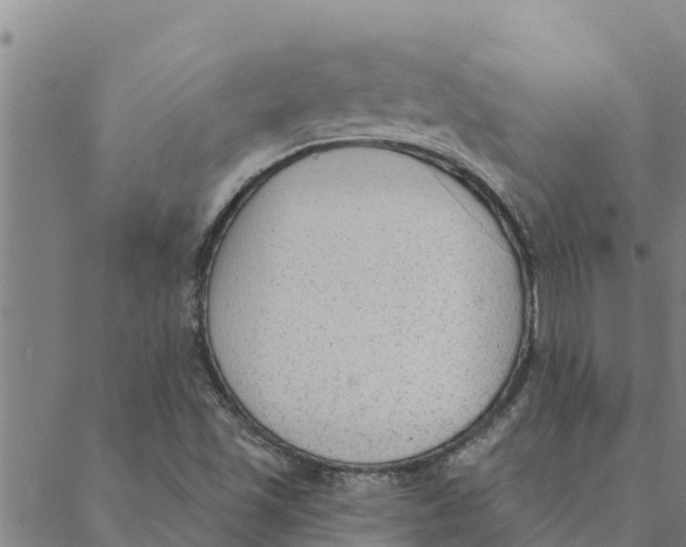 X0000088411501200706191409