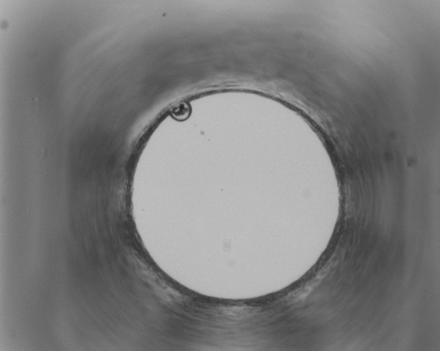 X0000088411502200706191409