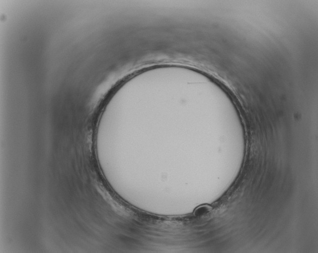 X0000088411503200706191409