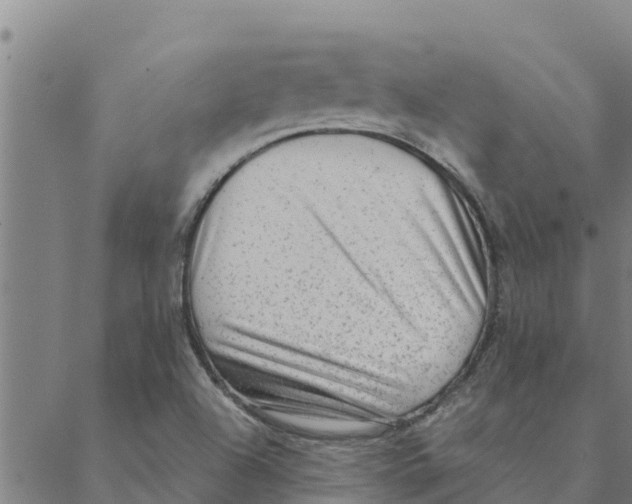 X0000088411504200706191409