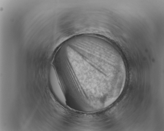 X0000088411505200706191409