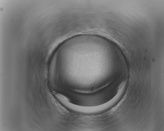 X0000088411506200706191409