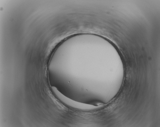 X0000088411507200706191409