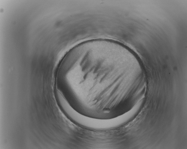 X0000088411508200706191409