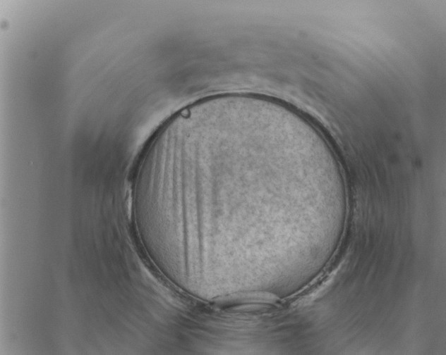 X0000088411509200706191409