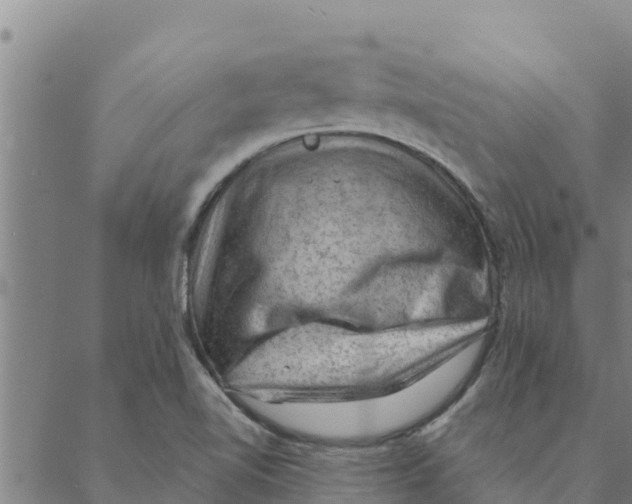 X0000088411510200706191409