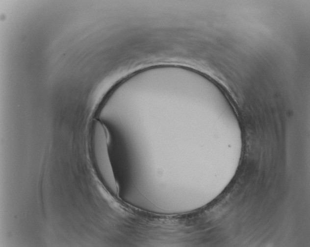 X0000088411511200706191409