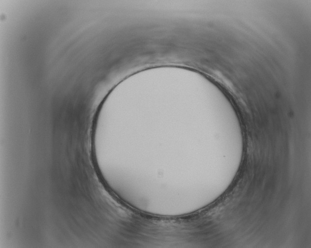 X0000088411512200706191409