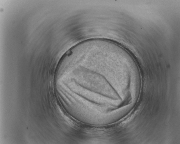 X0000088411513200706191409