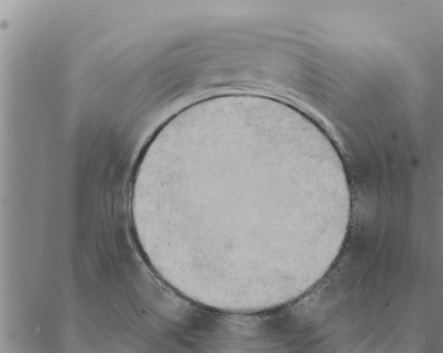 X0000088411514200706191409