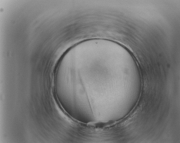 X0000088411515200706191409