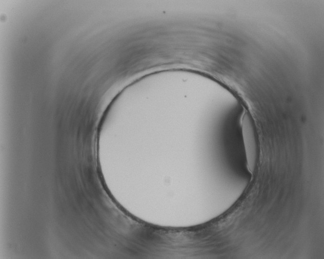 X0000088411516200706191409