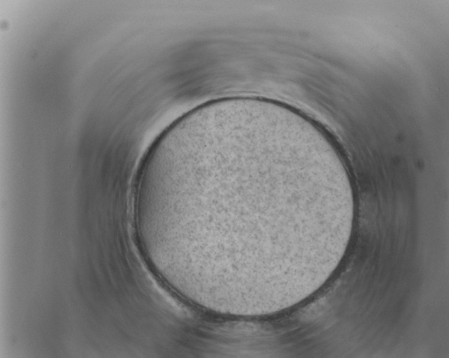 X0000088411517200706191409