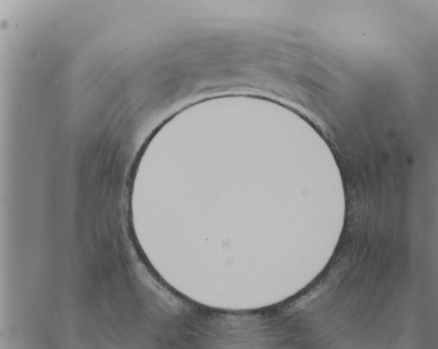 X0000088411518200706191409