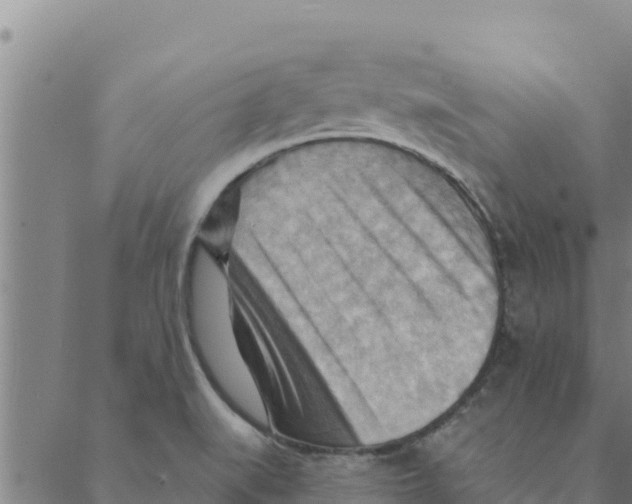 X0000088411519200706191409