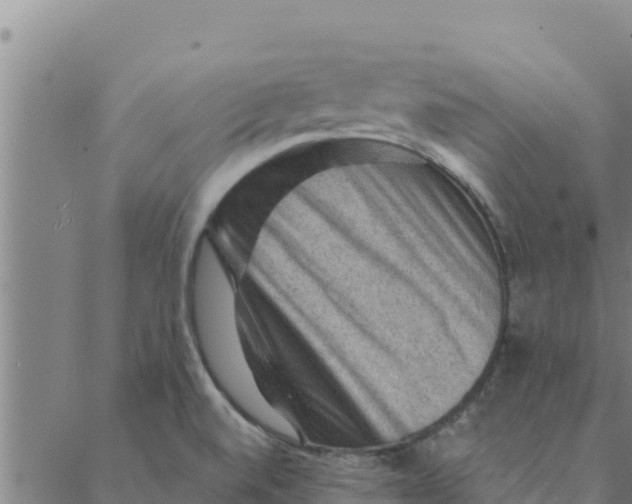 X0000088411520200706191409