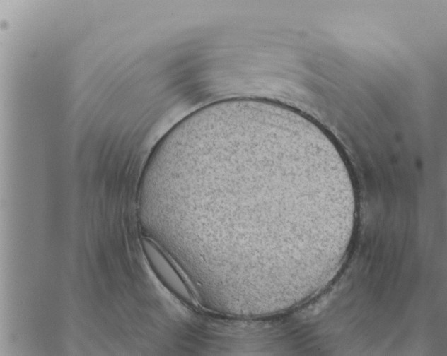 X0000088411521200706191409