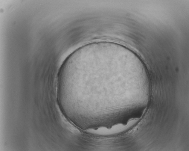 X0000088411522200706191409