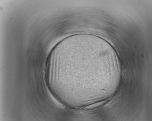 X0000088411523200706191410