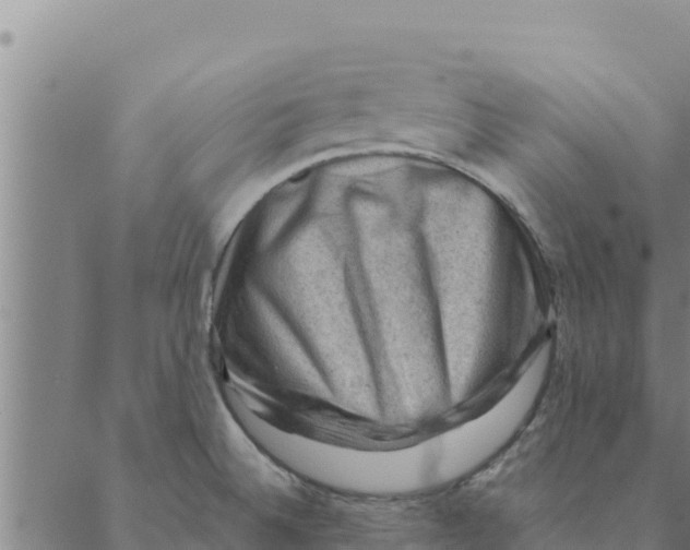 X0000088411524200706191410