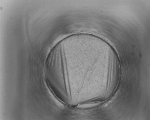 X0000088411525200706191410