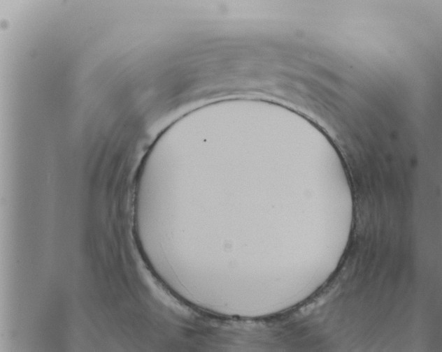 X0000088411526200706191410