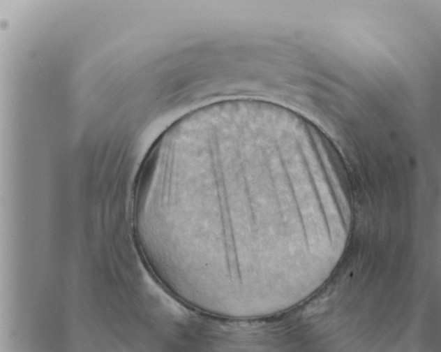 X0000088411527200706191410