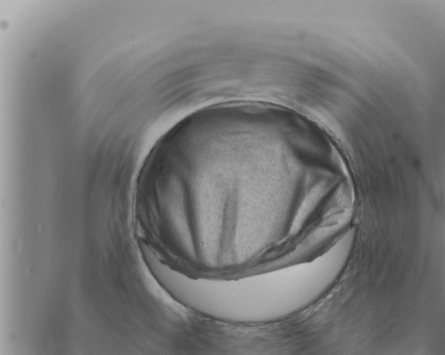 X0000088411528200706191410