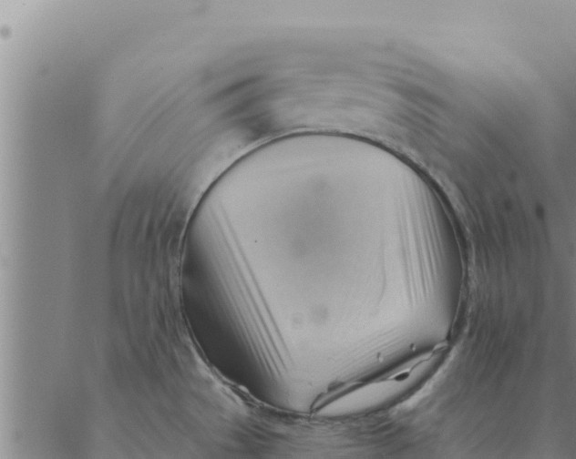 X0000088411529200706191410