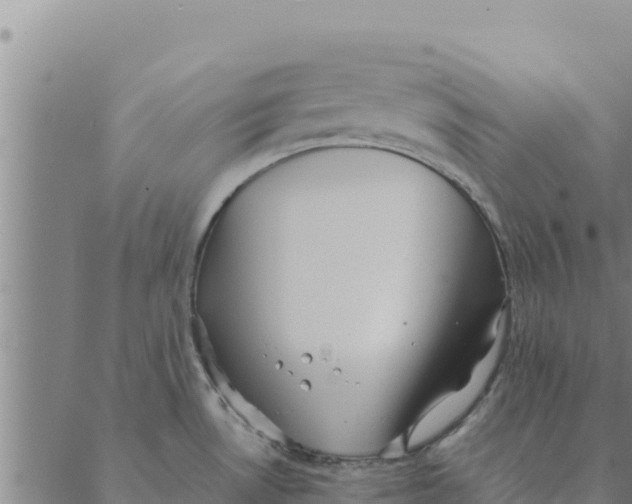 X0000088411530200706191410