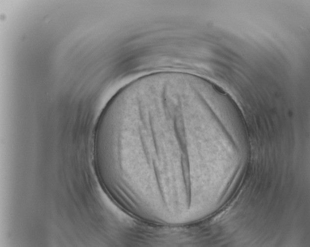 X0000088411531200706191410