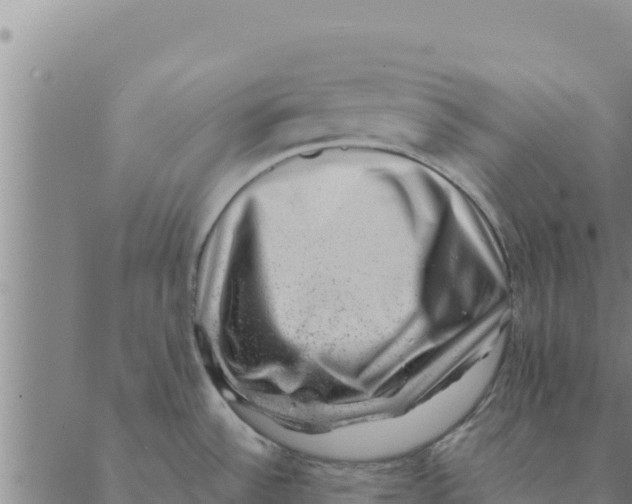 X0000088411532200706191410