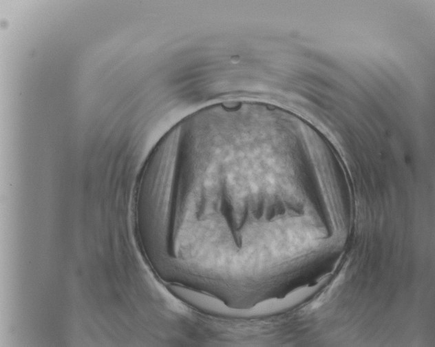 X0000088411533200706191410