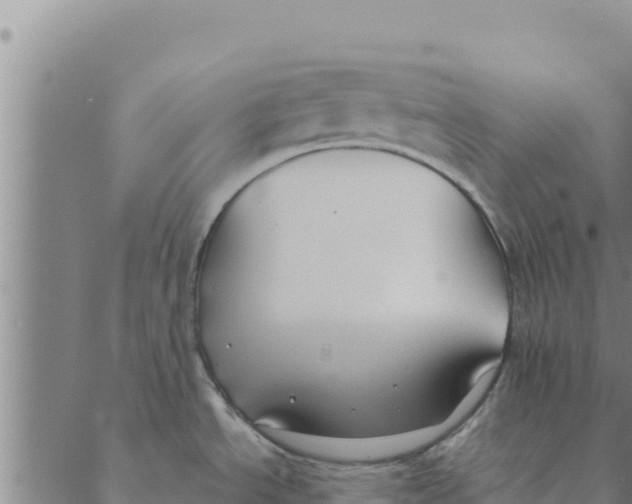 X0000088411534200706191410