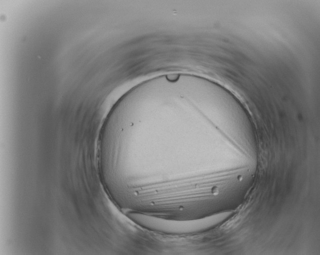 X0000088411535200706191410