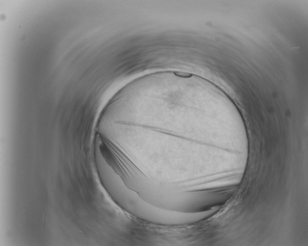 X0000088411536200706191410