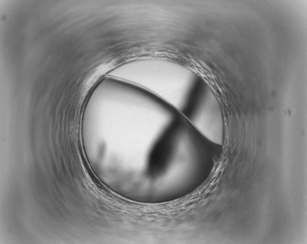 X0000088420003200705220849
