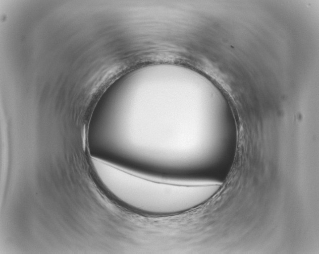 X0000088420013200705220848
