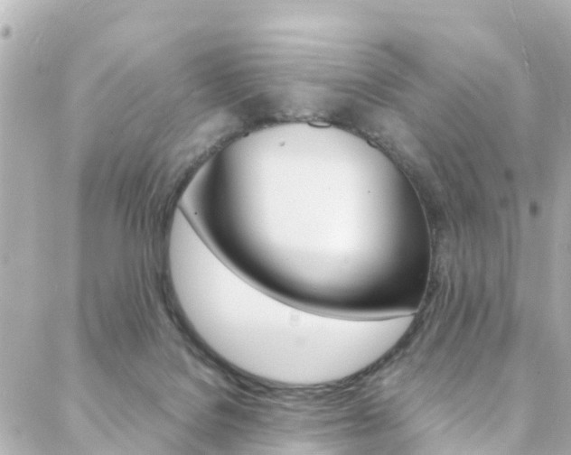 X0000088420076200705220848