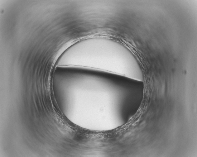 X0000088420100200705220847