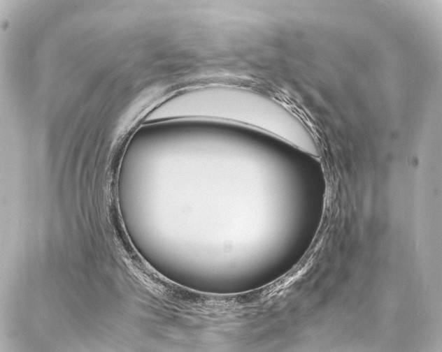 X0000088420101200705220847